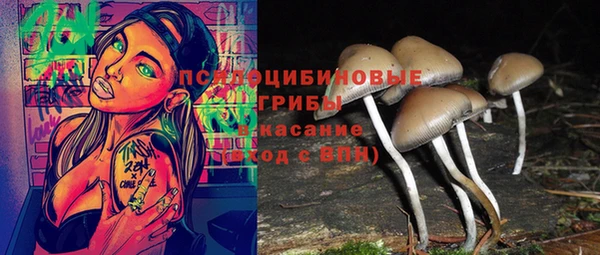 шишки Алзамай