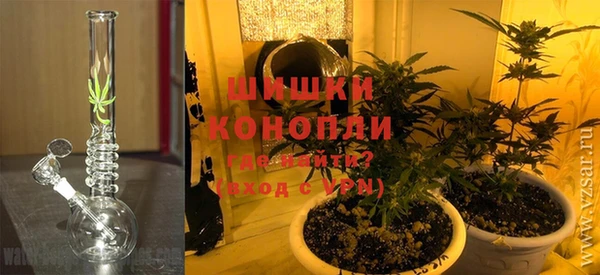 шишки Алзамай