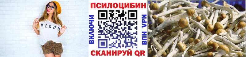 купить наркотик  darknet состав  Псилоцибиновые грибы Psilocybe  Ахтубинск 