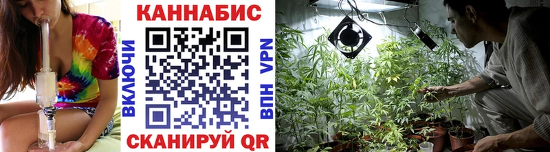 Бошки Шишки гибрид  где купить наркотик  Ахтубинск 